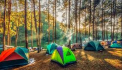 2019 Camping -Tickets